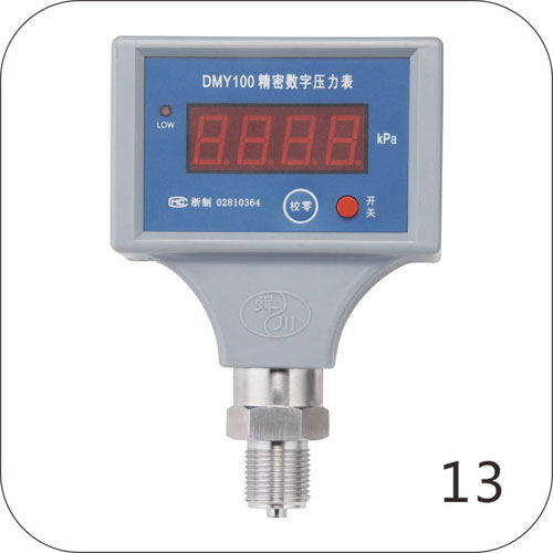 DMY100精密數(shù)字壓力表（電池型）