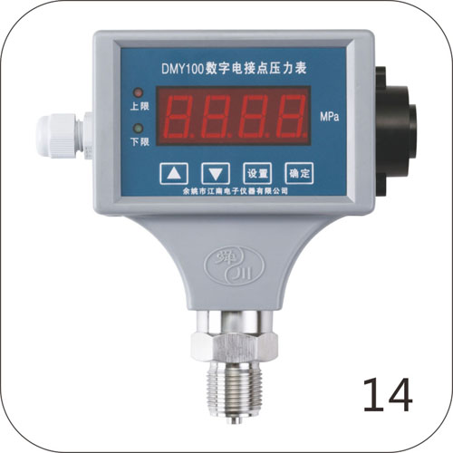 DMY100數(shù)字電接點(diǎn)壓力表（蜂鳴器報(bào)警）